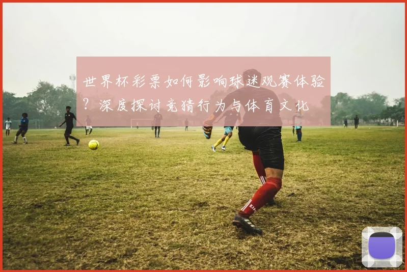 世界杯彩票如何影响球迷观赛体验?深度探讨竞猜行为与体育文化