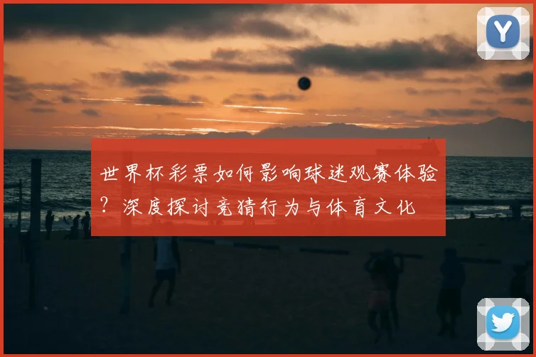 世界杯彩票如何影响球迷观赛体验?深度探讨竞猜行为与体育文化