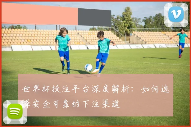 世界杯投注平台深度解析：如何选择安全可靠的下注渠道