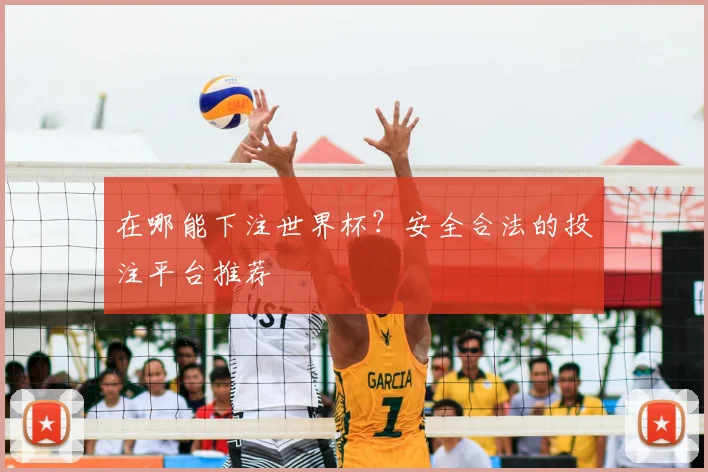 在哪能下注世界杯?安全合法的投注平台推荐