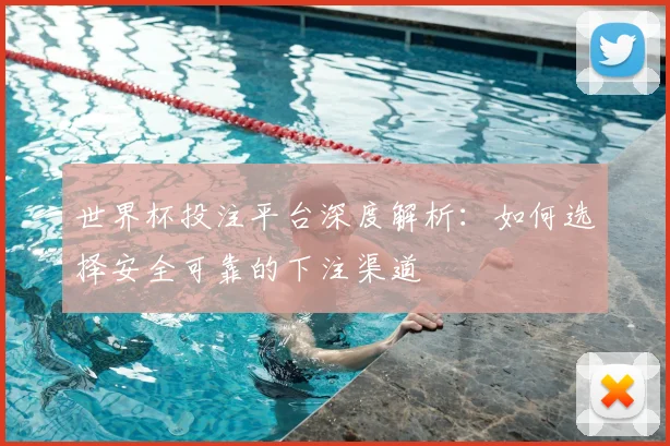 世界杯投注平台深度解析：如何选择安全可靠的下注渠道