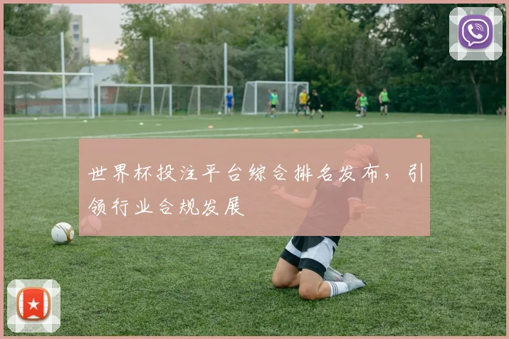 世界杯投注平台综合排名发布，引领行业合规发展