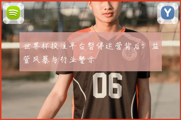 世界杯投注平台暂停运营背后：监管风暴与行业警示